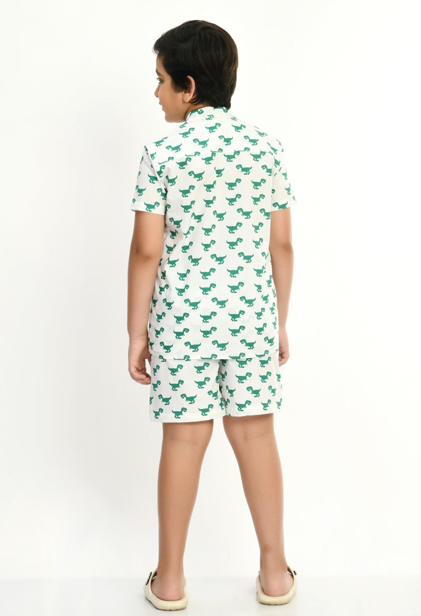 Boys Dino Printed Co - ords Set - RueCollections